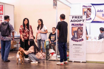 Think you’re ready to rescue a pet?