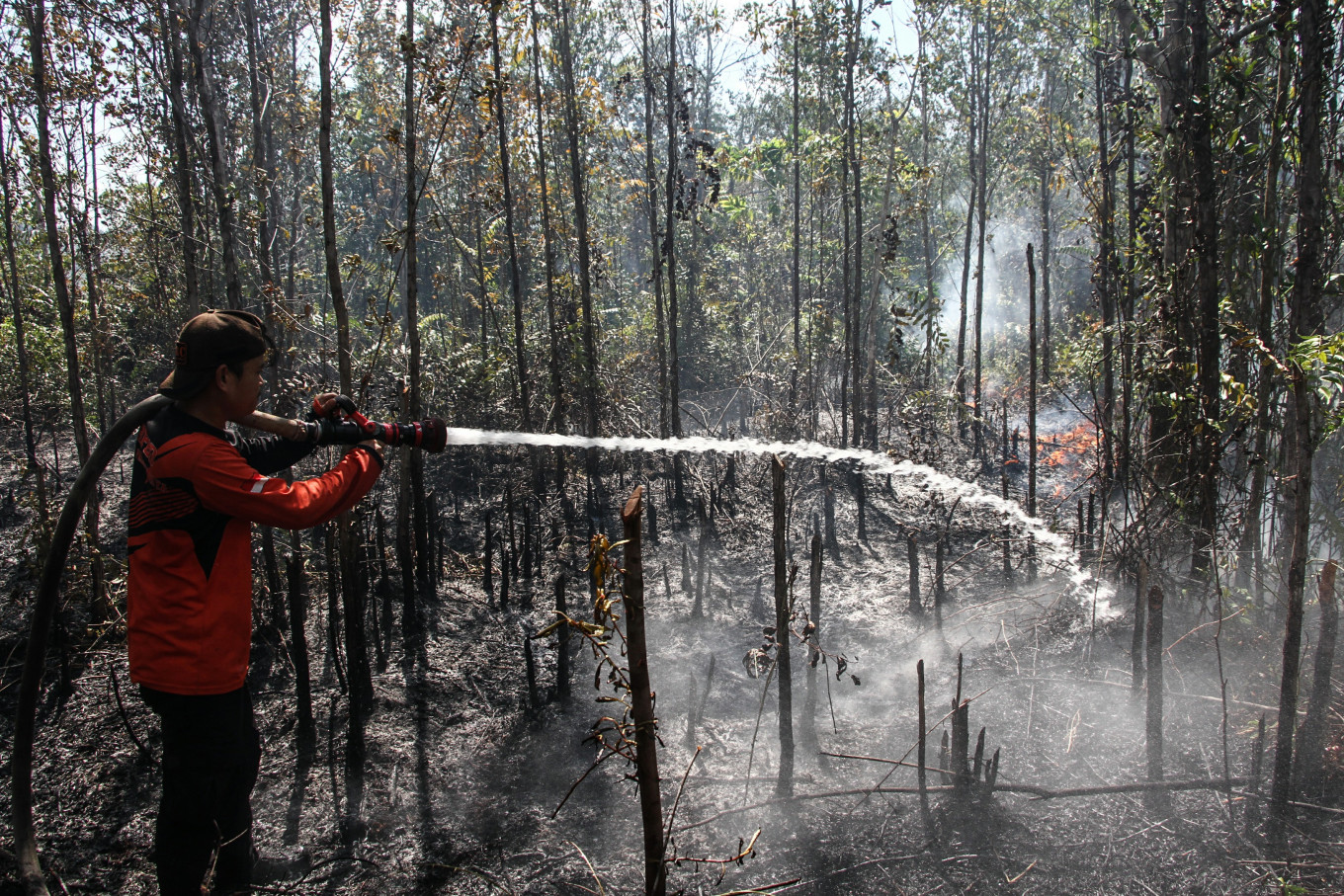 A worker with the Palangka Raya Disaster Mitigation Agency battles a fire on Jan. 16, 2026, in a peatland area in Bukit Tunggal subdistrict, Palangka Raya, Central Kalimantan.