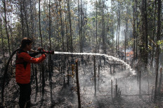 A worker with the Palangka Raya Disaster Mitigation Agency battles a fire on Jan. 16, 2026, in a peatland area in Bukit Tunggal subdistrict, Palangka Raya, Central Kalimantan.