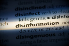 An illustration of a dictionary entry of &ldquo;disinformation&ldquo;