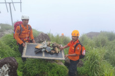 Members of a joint search and rescue team display aircraft debris from an ATR 42-500 near the crash site in the Bantimurung-Bulusaraung National Park area, Maros regency, South Sulawesi, Sunday, Jan. 18, 2026. 