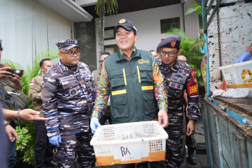Attempt to smuggle thousands of birds into Bali thwarted