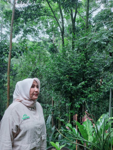 Rosita Istiawan, 64, stands in the forest she and her family nurtured on Jan. 12 in Megamendung district, Bogor regency, West Java. Purchased as barren land in 2001, the plot was transformed into a lush forest now home to around 44,000 trees.