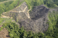 A deforested area of the Open Orangutan Sanctuary 'sspecial block of the Bukit Tigapuluh ecosystem is seen on Jan. 22, 2026, in West Tanjung Jabung regency, Jambi. The Jambi Natural Resources Conservation Agency (BKSDA) recorded around 600 hectares of the special block has been encroached and deforested.