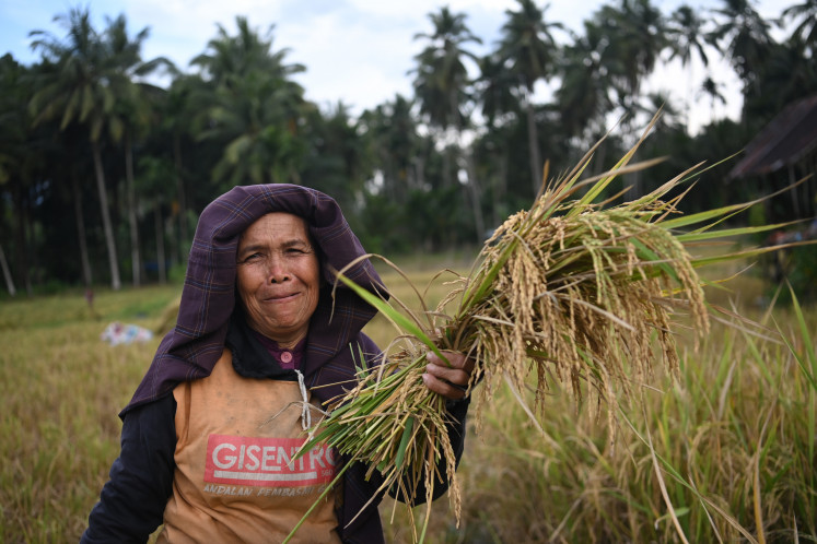 A farmer harvests rice on Jan. 28, 2026, in in Tolang Jae village, Sayur Matinggi district, South Tapanuli, North Sumatra. As climate change disrupts their daily life, women are stepping forward and becoming key drivers in environmental conservation and energy transition in communities.