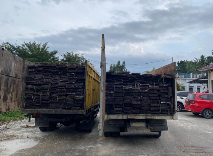 Two Mitsubishi Canter trucks carrying processed timber are seen impounded at the Riau Police headquarters in Pekanbaru in this photo released on Feb. 2, 2026. The timber was not accompanied by a forest product permit (SKSHH) and is suspected to be from illegal logging activities in Kerumutan Wildlife Sanctuary conservation area in Pelalawan regency, Riau.