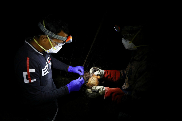 Field lab assistants catch a bat in their net as they collect specimens for their Nipah virus research in the Shuvarampur area of Faridpur, Bangladesh, on Sept. 14, 2021.
