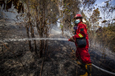 Blaze battles: A fireman of the Environment and Forestry Ministry&rsquo;s Manggala Agni fire brigade works to extinguish a forest fire on Feb. 9 in the protected forest area of Taman Lestari in Batam, Riau Islands. A joint team of the military, police, Manggala Agni and the Batam city administration has put out five of six detected hot spots.