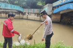 A police officer and local resident in South Tangerang collect dead fish from the Cisadane river following an industrial accident in early February 2026.