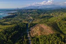 A new planting area for palm oil plantations is seen in Lamno village, Aceh Jaya regency, Aceh on Jan. 18, 2026.