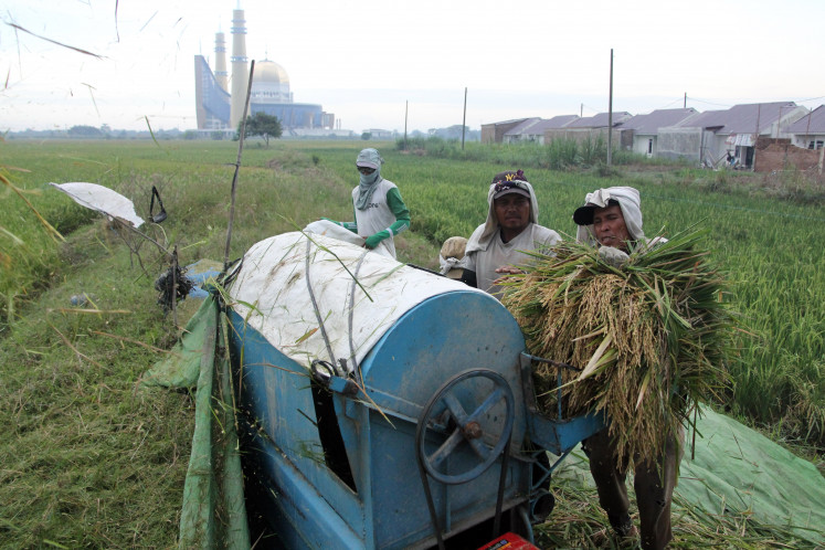 Farmers thresh rice on Feb. 18, 2026, in Martubung subdistrict, Medan.