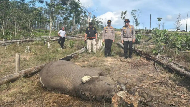 Riau Police chief Insp. Gen. Herry Heryawan (right), along with other law enforcement officials, looks at the carcass of an elephant calf on Feb. 26, 2026, at Tesso Nilo National Park in Pelalawan regency, Riau.
