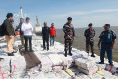 Representatives from various agencies stand on top of sacks of illegal mangrove charcoal on March 5 on board KLM Samudera Indah Jaya GT 172 at Dumai Naval Base pier in Dumai city, Riau. An Indonesian Navy joint team impounded the ship during an anti-smuggling operation on March 5 in the waters of Meranti Islands regency. 