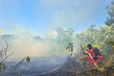 Haze of despair: Manggala Agni firefighters in this photo released by Antara on March 16, 2026, attempt to extinguish a forest fire in Pelalawan regency, Riau.