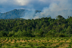 Smoke rises on Jan. 18 during the deforestation of a new planting area for oil palm plantations in Lamno, Aceh.