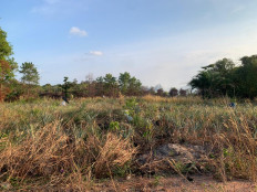 Bintan declares forest fire emergency, Dumai blanketed in smoke