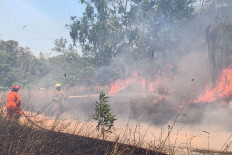 Blaze fighting: Firefighters work to extinguish a peatland fire on March 25, 2026, in Bintan regency, Riau Islands.