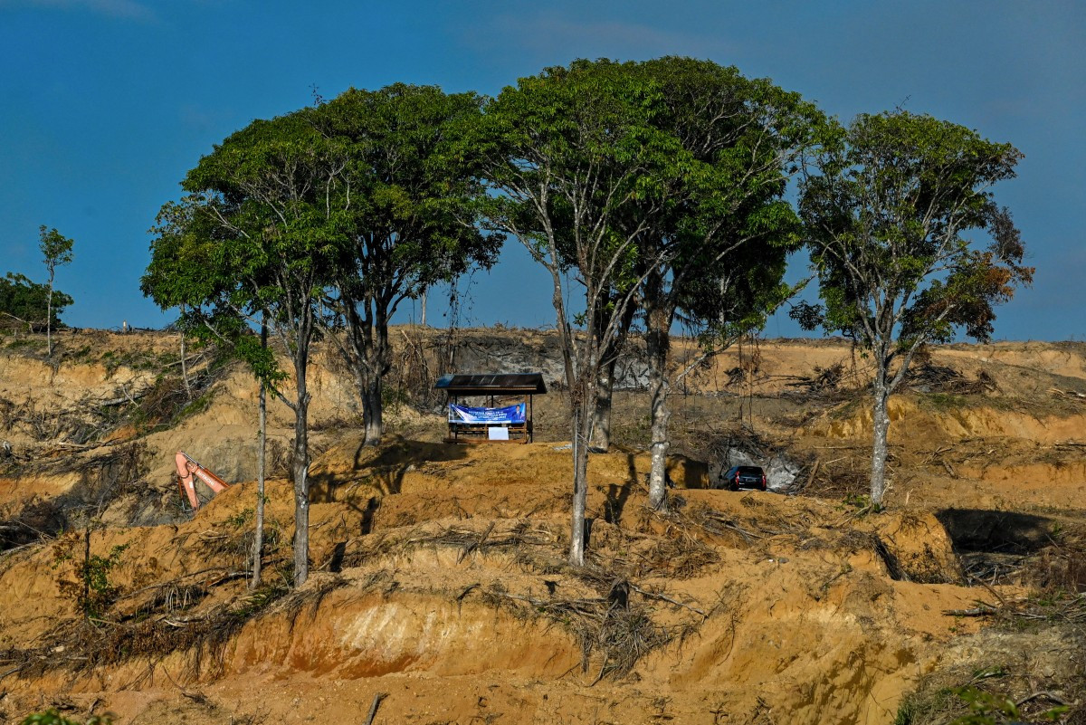 A hut stands amid a handful of trees on Jan. 18, 2026, after heavy equipment cleared a swath of land for an oil palm expansion project in Lamno, Aceh Jaya regency, Aceh.