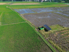 Aerial photo shows solar-powered water pumps irrigating rice fields in Lumajang, East Java, on April 6, 2026. The Agriculture Ministry is maximizing the use of 80,158 water pumps distributed to farmer groups as part of efforts to anticipate potential El Ni&ntilde;o-driven drought starting April 2026, aimed at securing water supply and maintaining national agricultural productivity.