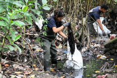 People clear plastic on  April 15, 2026, at a mangrove area as part of a cleaning campaign in Serangan village, Denpasar, Bali.