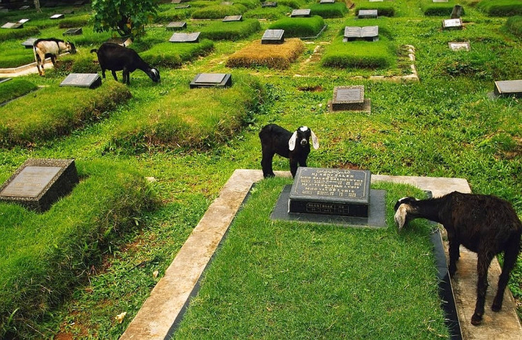 Life beside death: A still photo from Mengiringi Kematian (Accompanying Death) by Abyan Madani shows a group of goats at a public cemetery, highlighting the two contrasting facts, life and death, that will always exist side by side.