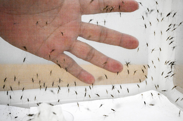 A health official touches a mosquito cage at the insectary room in the National Center for Parasitology, Entomology and Malaria Control in Phnom Penh, Cambodia on Jan. 14, 2025. Cambodia is stepping up a &ldquo;last mile&ldquo; push to wipe out the mosquito-borne disease, focusing on hard-to-reach pockets of population in remote, forested or mountainous areas.