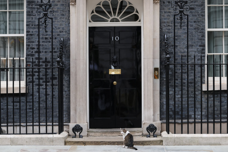 Larry the cat sits outside 10 Downing Street in London, Britain, May 11, 2026.
