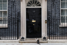 Larry the cat sits outside 10 Downing Street in London, Britain, May 11, 2026.
