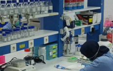 Employees process phytopharmaceuticals (fitofarmaka) Oct. 16, 2025, at the Center for Innovation and Research of Natural Medicines, Dexa Laboratories of Biomolecular Sciences (DLBS), in Cikarang, Bekasi, West Java.