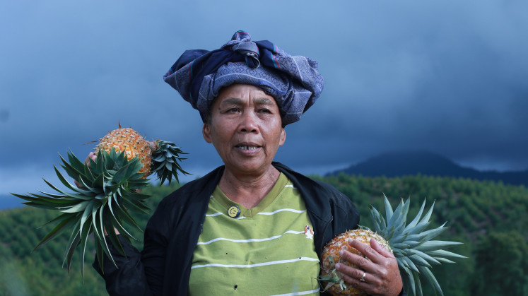 Berliana Damanik, an indigenous woman from Dolok Parmonangan village, harvests pineapples in a field near her home on Nov. 15, 2025, in Simalungun regency, North Sumatra.
She is among those affected by a prolonged agrarian conflict with pulp-and-paper company PT Toba Pulp Lestari.