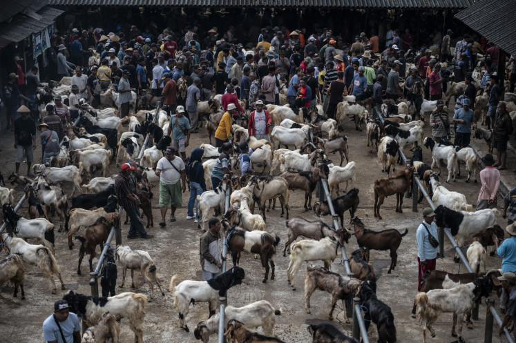 People buy and sell goats on May 21 at the Ambarawa Animal Market in Semarang regency, Central Java. Local authorities have tightened health inspections of livestock, particularly cattle, ahead of Idul Adha celebrations to ensure animals traded at the market are healthy and free from contagious diseases.