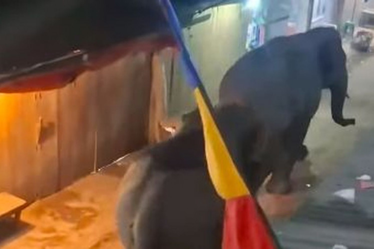 Two Sumatran elephants are seen passing through a market alley at Jukung Market in Air Sugihan district, Ogan Komering Ilir regency, South Sumatra in this screen capture from Instagram account @ogankomeringilirupdate on May 19, 2026. 