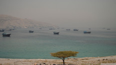 Vessels are anchored in the Strait of Hormuz, as seen from Musandam, Oman, June 11, 2026. 