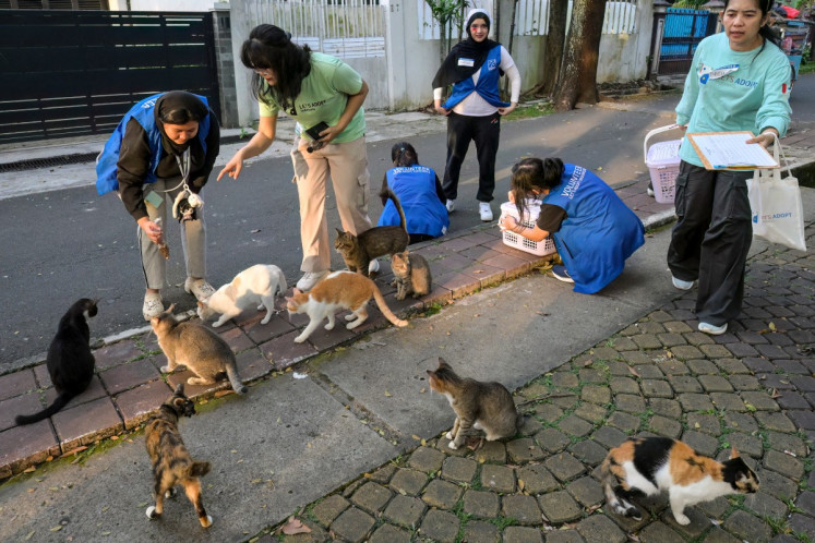 This picture taken on May 14, 2026 shows volunteers identifying stray cats before taking them to be vaccinated and neutered at a park in Jakarta. 
