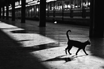 Jakarta: A city of stations, a city of selves