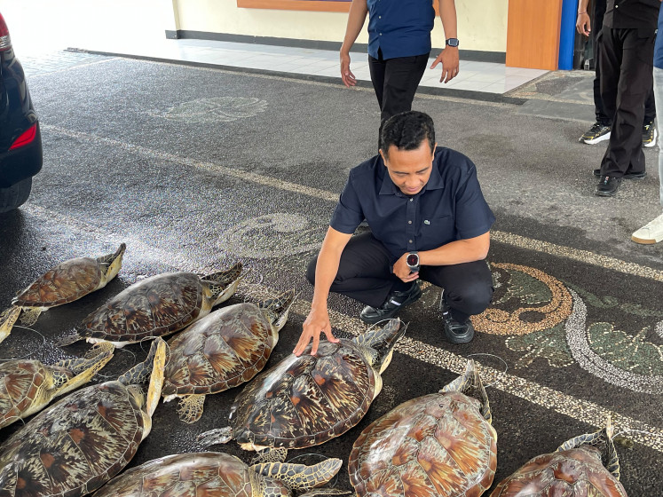 Bali Police Water and Air Police (Polairud) Directorate's Law Enforcement Sub-directorate chief Adj. Sr. Comr. Nanang Pri Hasmoko inspects 21 green sea turtles (Chelonia mydas) on June 19 at the Polairud Directorate in Denpasar. The green sea turtles were seized from a smuggling suspect in Buleleng regency.