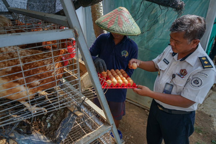 A prison official assists an inmate to gather eggs from chickens on June 15 at the Pekalongan penitentiary in Central Java. The penitentiary provides various training for inmates, including food processing and farming, to support the government's food security program.