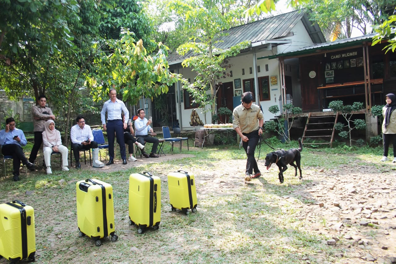 A trainer leads a dog toward suitcases to find a wildlife kept inside during a demonstration of the Wildlife Detection Dog (WDD) program in Kalianda in South Lampung regency, Lampung, on July 2, 2026. The WDD program is a partnership between the Forestry Ministry with France-based shipping and logistics company CMA CGM and World Conservation Society Program Indonesia to intercept illicit trade of animals and plants.