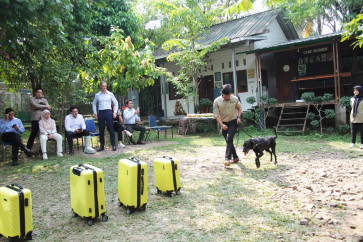 A trainer leads a dog toward suitcases to find a wildlife kept inside during a demonstration of the Wildlife Detection Dog (WDD) program in Kalianda in South Lampung regency, Lampung, on July 2, 2026. The WDD program is a partnership between the Forestry Ministry with France-based shipping and logistics company CMA CGM and World Conservation Society Program Indonesia to intercept illicit trade of animals and plants.