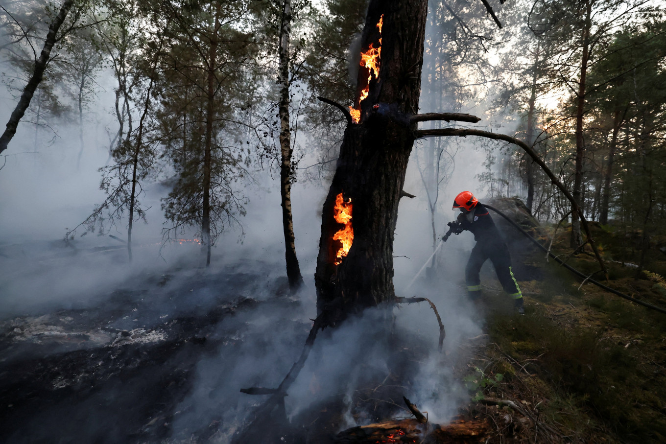 A firefighter works to extinguish flames in the Fontainebleau forest during wildfires, in Noisy-sur-Ecole, near Paris, during a heatwave affecting large parts of France, July 13, 2026.