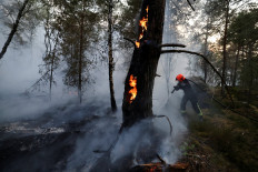 A firefighter works to extinguish flames in the Fontainebleau forest during wildfires, in Noisy-sur-Ecole, near Paris, during a heatwave affecting large parts of France, July 13, 2026.