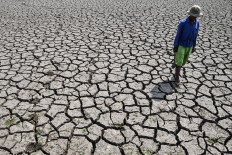 A farmer walks through an rice field fed by the Cimulu tributary that has dried up on July 16 in Ciwasmandi hamlet, Sukajaya village, Purbaratu district, Tasikmalaya, West Java.