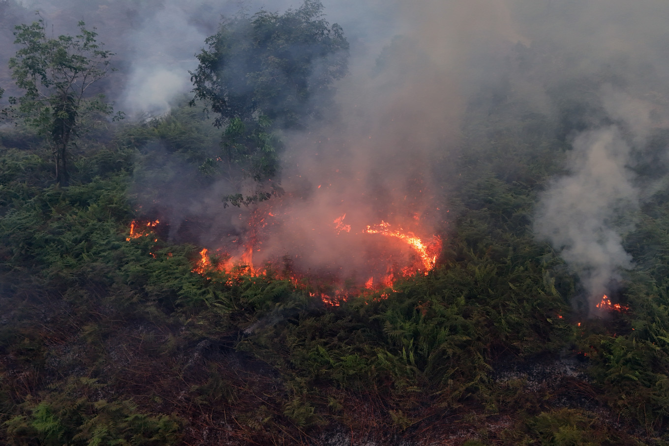 An aerial view shows a fire burning shrubs on peatland in Cot Seumeureng village, Samatiga district, West Aceh, Aceh, on July 19, 2026. 