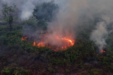 An aerial view shows a fire burning shrubs on peatland in Cot Seumeureng village, Samatiga district, West Aceh, Aceh, on July 19, 2026. 