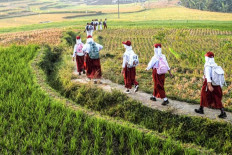 Education pathway: Uniformed students walk past rice fields on July 13, 2026, the first day of the new school year, as they make their way to an elementary school in Bayongbong village, Garut regency, West Java.