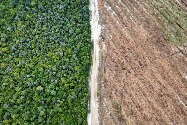 This photo taken on Feb. 11 shows native forest trees (left) and land cleared and prepared for industrial planting (right) in Lahei Mangkutup, Kapuas Regency in Central Kalimantan Province. Vast tracts of Indonesian rainforest home to endangered orangutans have been cleared for plantations supplying a maker of &ldquo;carbon-neutral&ldquo; packaging, an investigation by AFP and The Gecko Project has found.
