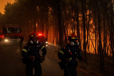 Firefighters in Greece 'pushed to the limit' as winds rage
