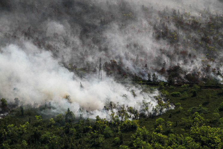 Thick smoke rises from a forest and land fire on Tuesday in Tumbang Nusa village, Pulang Pisau regency, Central Kalimantan, Indonesia. The Central Kalimantan provincial government has declared a forest and land fire emergency through Oct. 31. As of Monday, fires had burned 1,715.14 hectares across 907 incidents in the province.