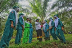 (Courtesy of Asian Agri)