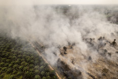 Smoke billows from burning peatland on Aug. 26, 2026, obscuring an adjacent oil palm plantation in East Tanjung Jabung regency, Jambi.